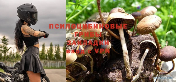 гидра Алзамай